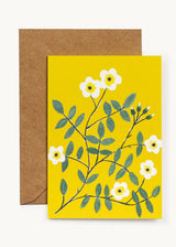 Wild Rose Card Hadley