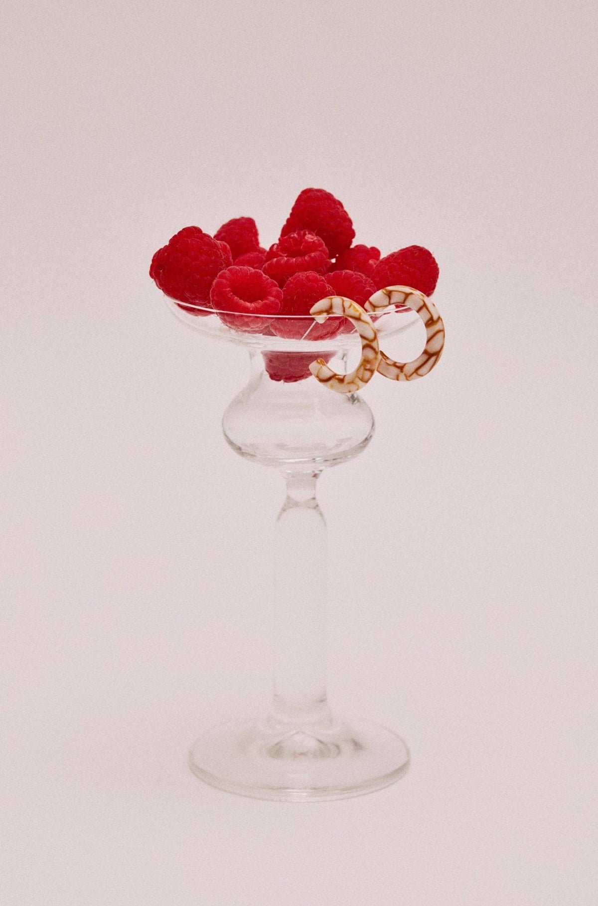 Lane Glace Hoops Earrings sasstie