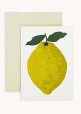 Little Lemon card Hadley