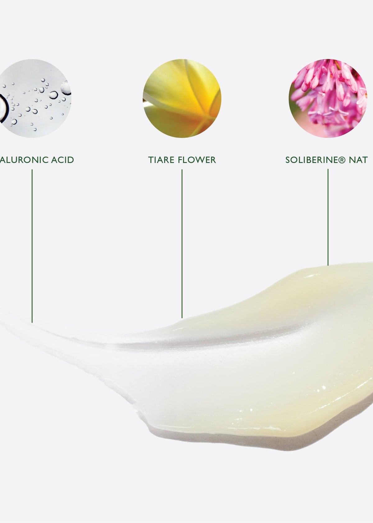 Moisturiser 100 ml HEATH