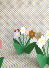 Standing 3D Daisy Floral Bloom Everyday Greeting Card Kitty Kenda Papergoods