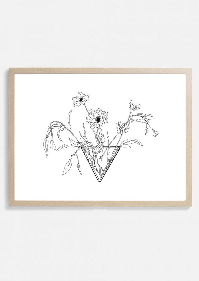 Anemone Vase Botanical Art Print Artwork Next Sketch
