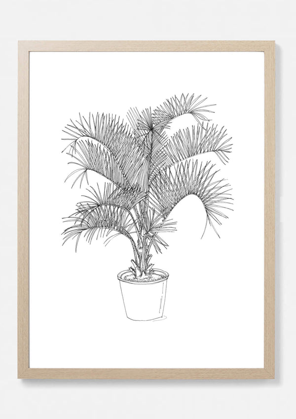 Danby Palm Art Print Artwork Next Sketch